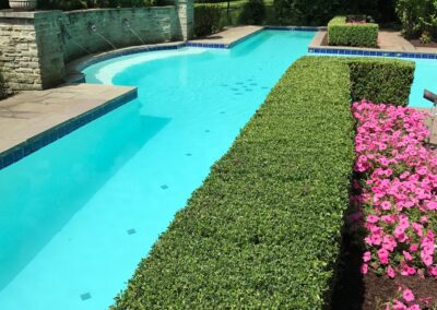 A pool surrounded by bushes and flowers.