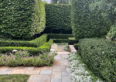 A garden with a pathway and hedges.